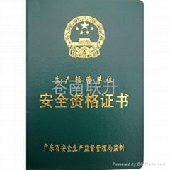 匠心紙藝 蒼南聯升工藝廠公司檔案全攻略