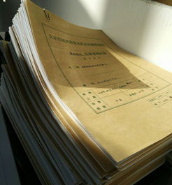 延慶鎮食藥所開展2016年許可檔案整理工作